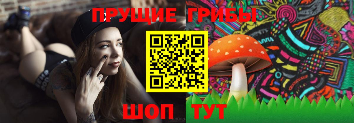 Псилоцибиновые грибы Psilocybine cubensis  Вход с VPN  Обнинск 
